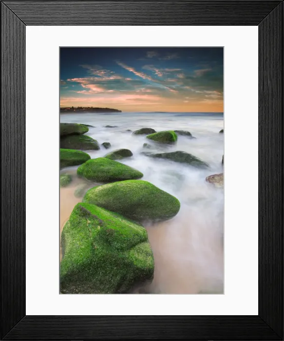 Framed Print : Green rocks at Curl Curl Beach Framed Print : Green rocks at Curl Curl Beach