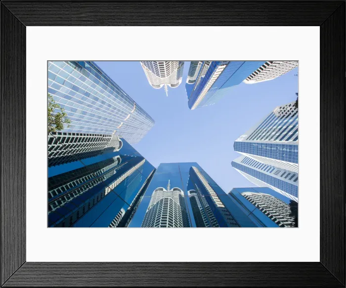 Framed Print : Looking up Framed Print : Looking up