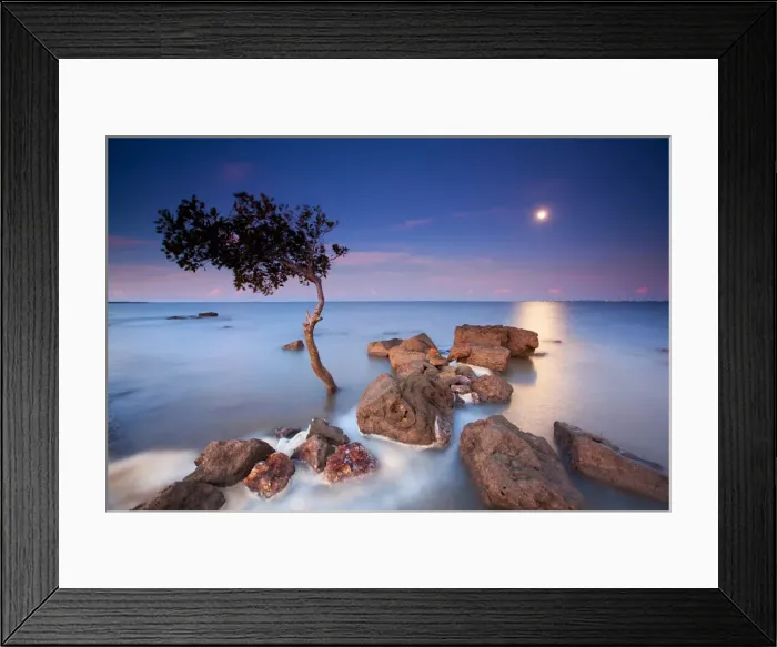 Framed Print : Precious and fragile
