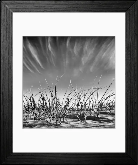 Framed Print : Reaching for the Sky
