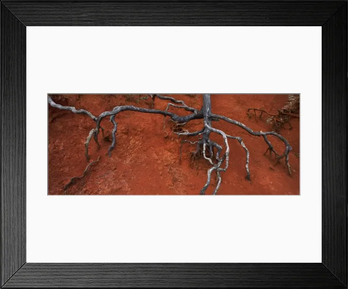 Framed Print : Terra Rossa Framed Print : Terra Rossa