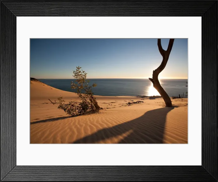 Framed Print : Moments of Silence