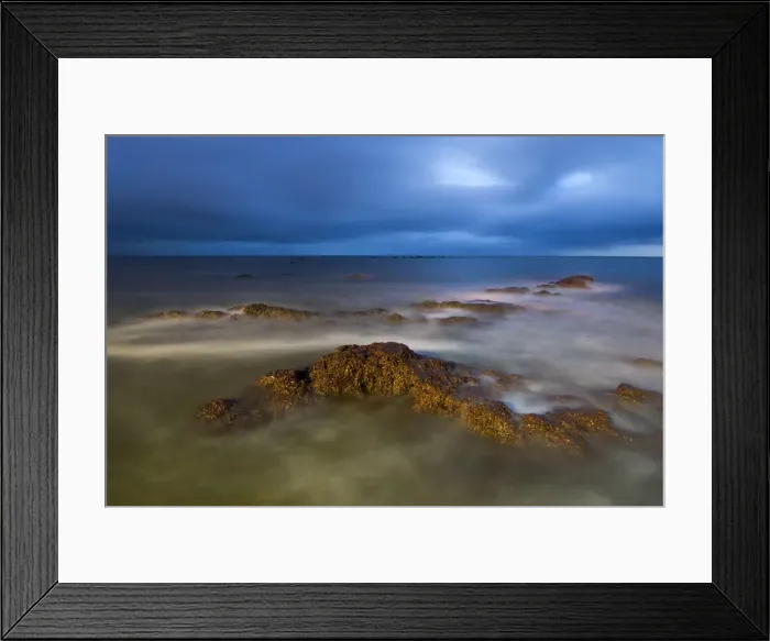 Framed Print : Natures Theme Park