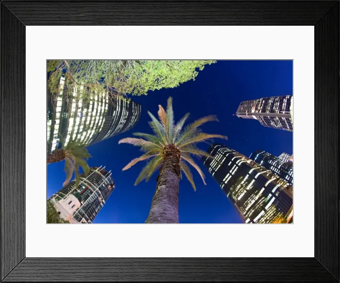Framed Print : Looking up Framed Print : Looking up