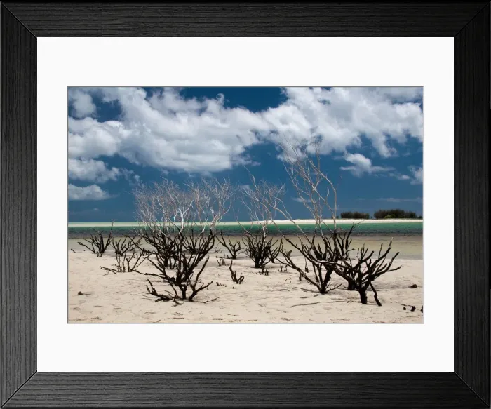 Framed Print : Fraser island at day time Framed Print : Fraser island at day time