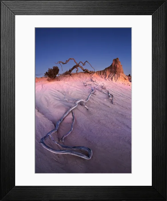 Framed Print : Dry wood root laying on desert sand