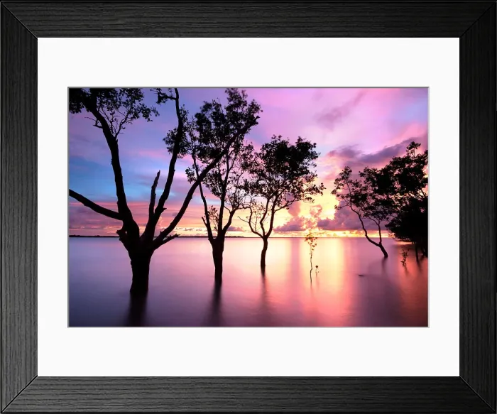 Framed Print : See through the trees