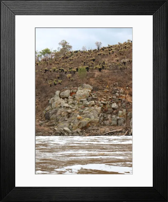 Framed Print : Bells Rapids in full flow with the burnt out grass trees from a few months