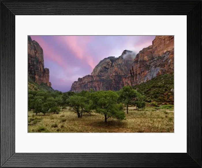 Framed Print : Zion Canyon in Zion National Park, Utah, United States of America