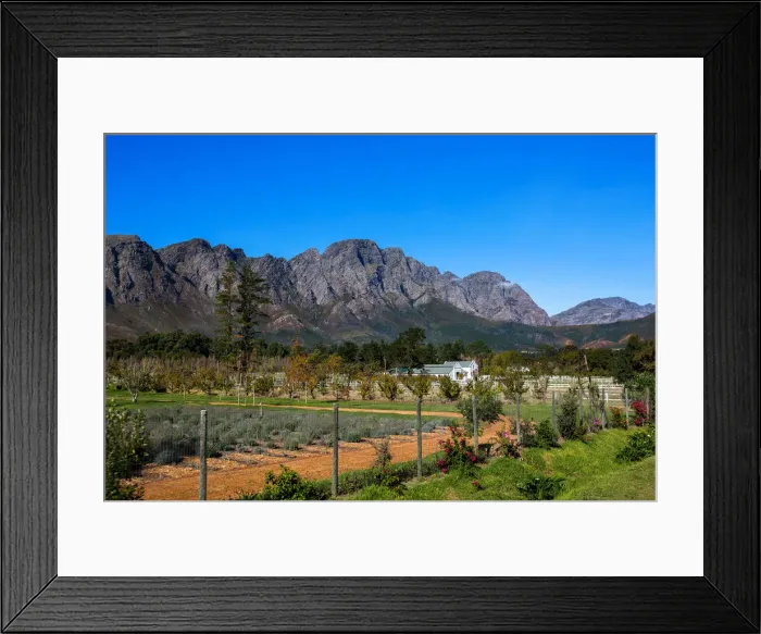 Framed Print : View of Mountains, Farm and Vineyard in Franschoek, Western Cape, South Africa Framed Print : View of Mountains, Farm and Vineyard in Franschoek, Western Cape, South Africa