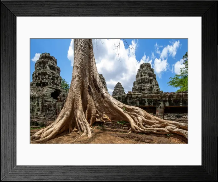Framed Print : Roots of a Sprung Running along the Gallery of the External Enclosure of Banteay Kdei, Angkor, Siem Reap, Cambodia Framed Print : Roots of a Sprung Running along the Gallery of the External Enclosure of Banteay Kdei, Angkor, Siem Reap, Cambodia