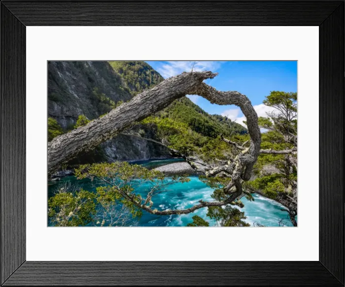 Framed Print : Vicente Perez Rosales National Park, Los Lagos Region, Llanquihue Province, Chile Framed Print : Vicente Perez Rosales National Park, Los Lagos Region, Llanquihue Province, Chile