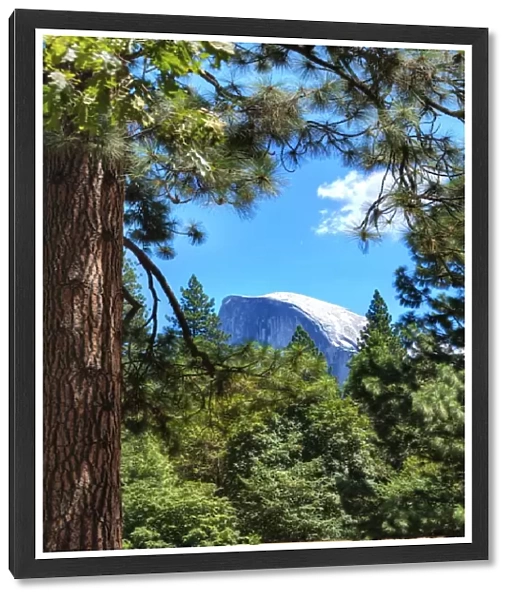 Half Dome, Yosemite National Park, California, United States of America