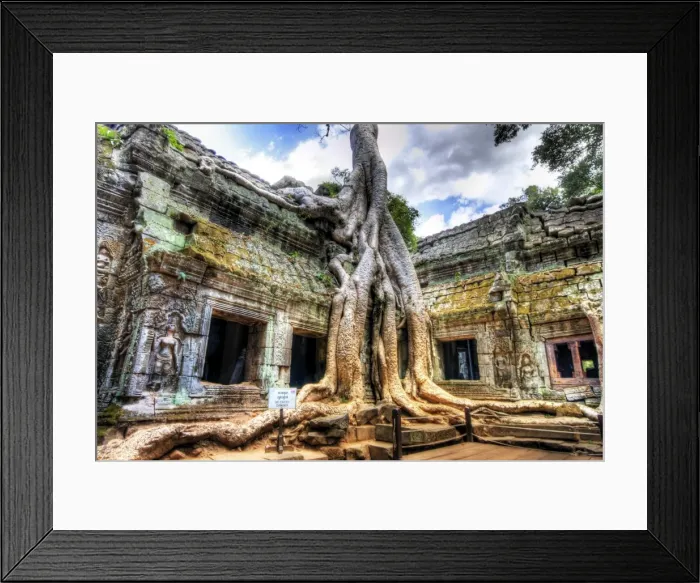 Framed Print : Ta Prom Temple, Siem Reap, Cambodia Framed Print : Ta Prom Temple, Siem Reap, Cambodia