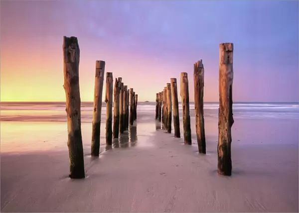 St Clair Beach, Dunedin, South Island, New Zealand