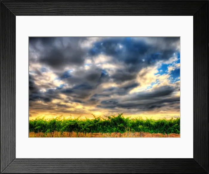 Framed Print : Effortless Vineyard Sky, Sunset Framed Print : Effortless Vineyard Sky, Sunset