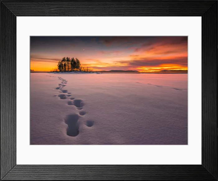 Framed Print : Winter scene on the coastline of the Baltic sea near Ranea, Lapland, Sweden Framed Print : Winter scene on the coastline of the Baltic sea near Ranea, Lapland, Sweden