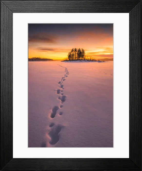 Framed Print : Winter scene on the coastline of the Baltic sea near Ranea, Lapland, Sweden Framed Print : Winter scene on the coastline of the Baltic sea near Ranea, Lapland, Sweden