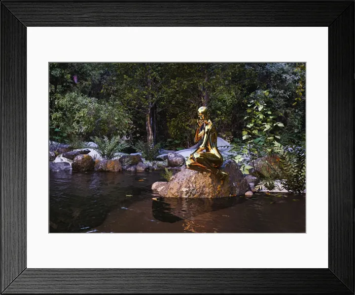 Framed Print : ar, augmented reality, beauty, color image, computer graphic, concept, contemplating Framed Print : ar, augmented reality, beauty, color image, computer graphic, concept, contemplating