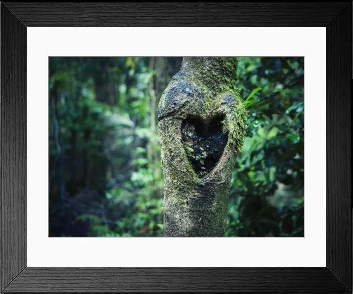 Framed Print : Heart tree Framed Print : Heart tree