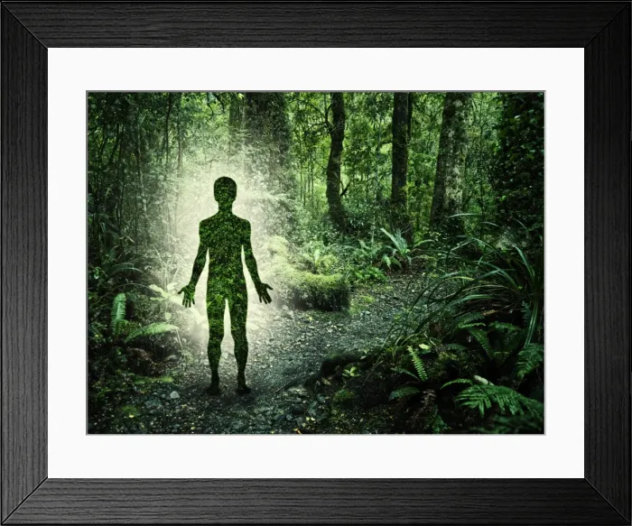 Framed Print : Male figure in forest Framed Print : Male figure in forest