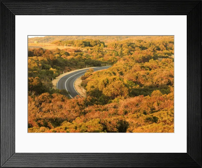 Framed Print : A road trough the nature, great ocean road, Victoria, Australia, South Pacific