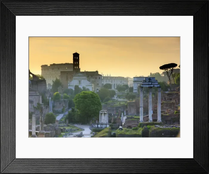 Framed Print : Rome, Roman Forum