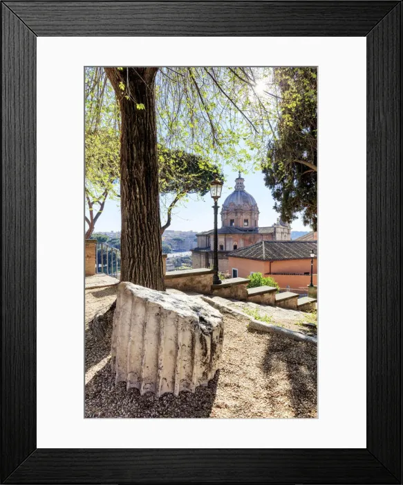 Framed Print : Rome, Roman Forum