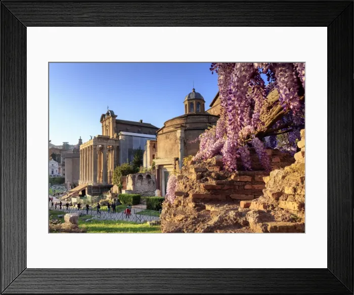 Framed Print : Rome, Roman Forum