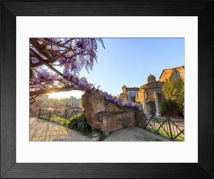 Framed Print : Rome, Roman Forum