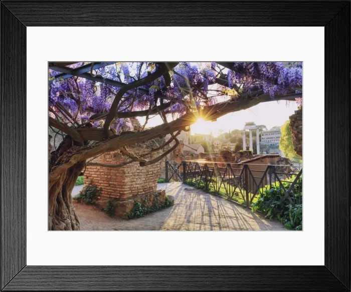 Framed Print : Rome, Roman Forum