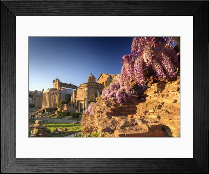 Framed Print : Rome, Roman Forum Framed Print : Rome, Roman Forum