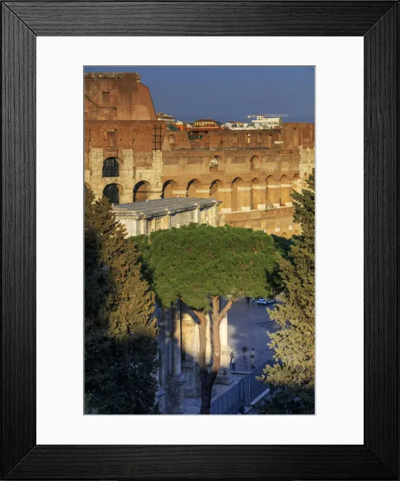 Framed Print : Rome, Roman Forum Framed Print : Rome, Roman Forum