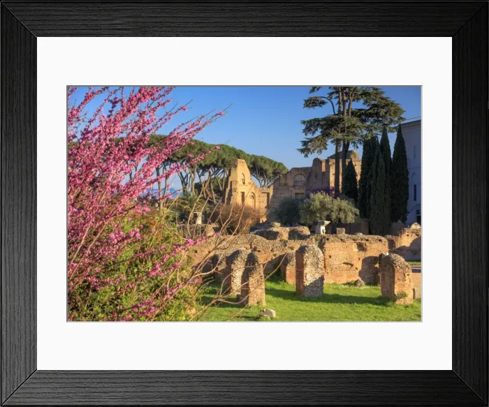 Framed Print : Rome, Palatine hill Framed Print : Rome, Palatine hill