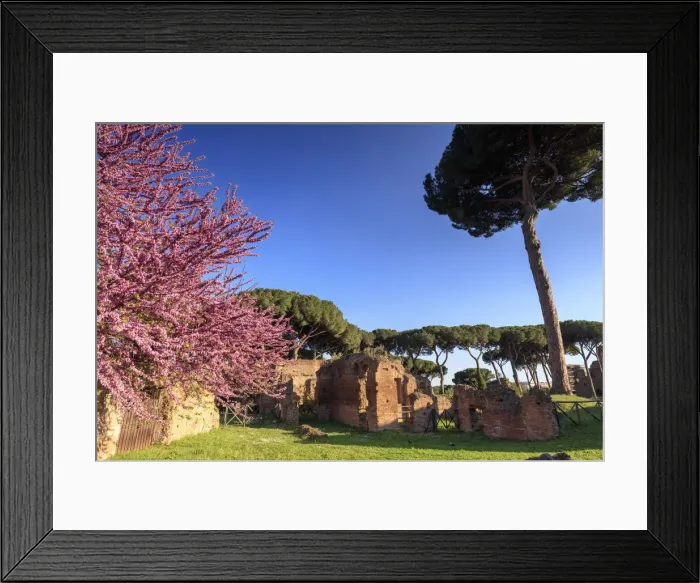 Framed Print : Rome, Palatine hill Framed Print : Rome, Palatine hill