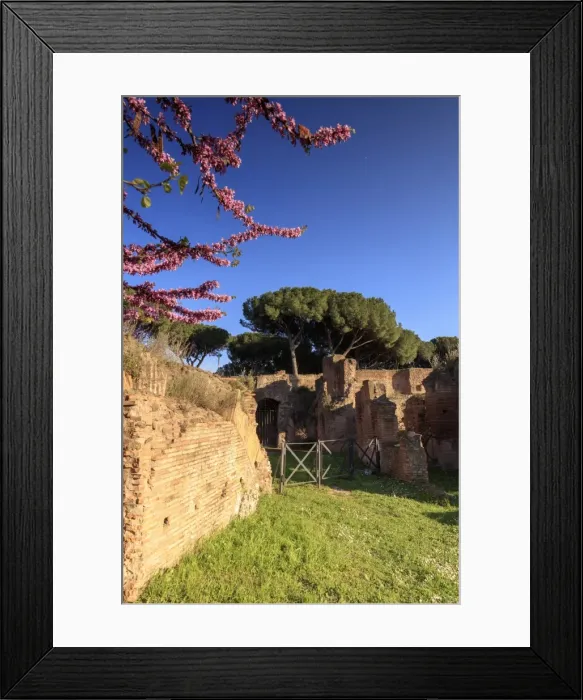 Framed Print : Rome, Palatine hill Framed Print : Rome, Palatine hill