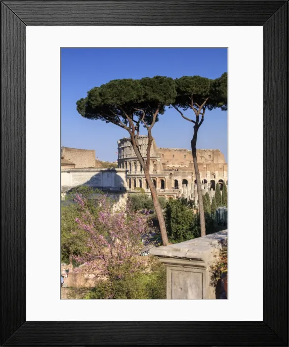 Framed Print : Rome, Roman Forum Framed Print : Rome, Roman Forum