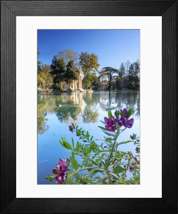 Framed Print : Rome, Villa Borghese Framed Print : Rome, Villa Borghese