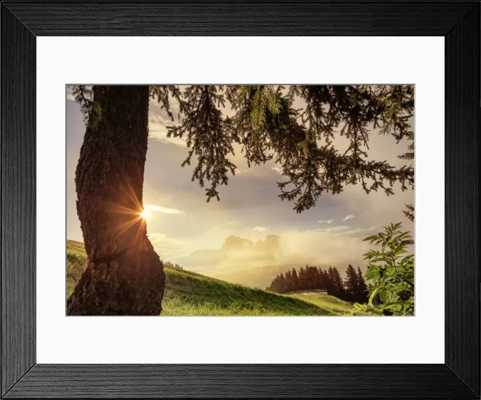 Framed Print : Alpe di Siusi, Dolomites