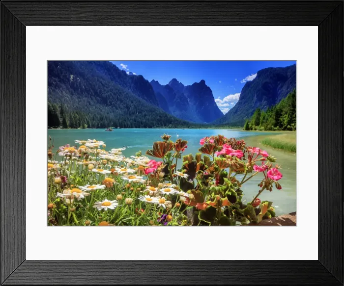 Framed Print : Dobbiaco lake, Dolomites