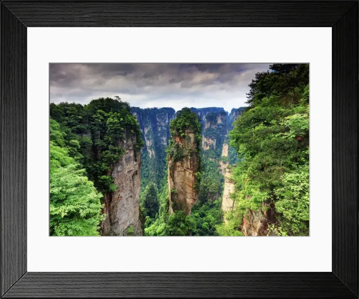 Framed Print : Zhangjiajie forest Framed Print : Zhangjiajie forest