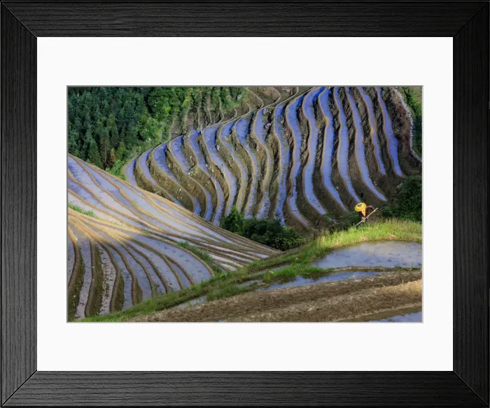 Framed Print : Long ji terrace rice workers, China