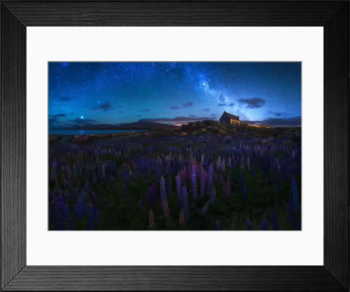 Framed Print : Russel Lupines and Church of The Good Shepherd, Lake Tekapo, New Zealand