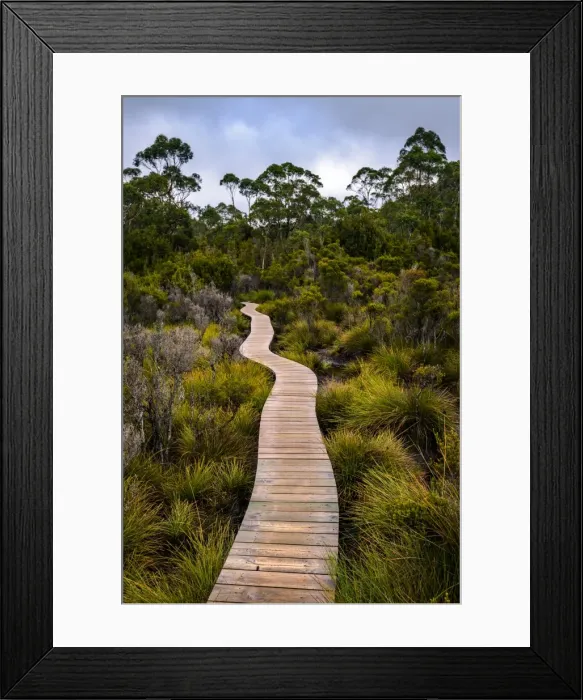 Framed Print : Track to Frenchmans Cap, Franklin-Gordon Wild Rivers National Park, Tasmanis