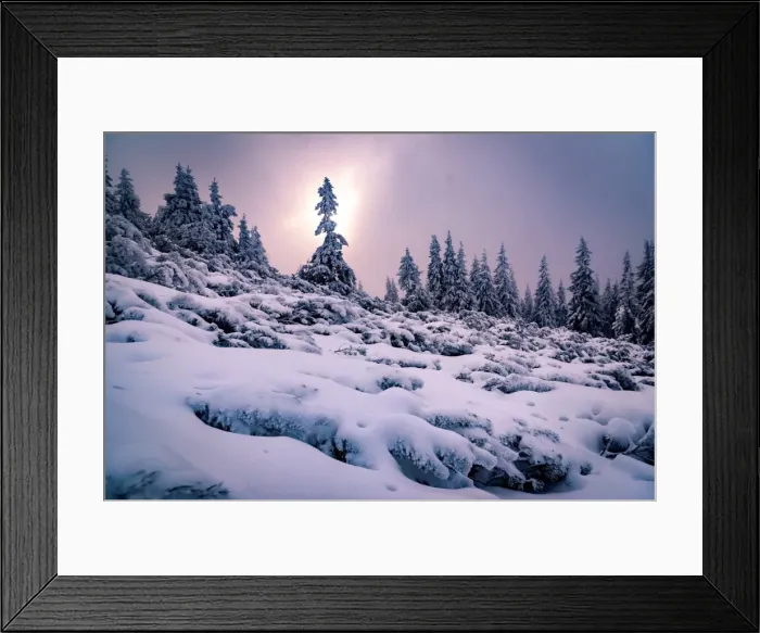Framed Print : Carpathian Mountains