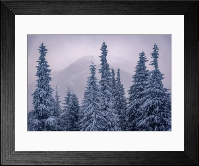Framed Print : Carpathian Mountains Framed Print : Carpathian Mountains