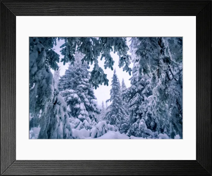 Framed Print : Carpathian Mountains Framed Print : Carpathian Mountains