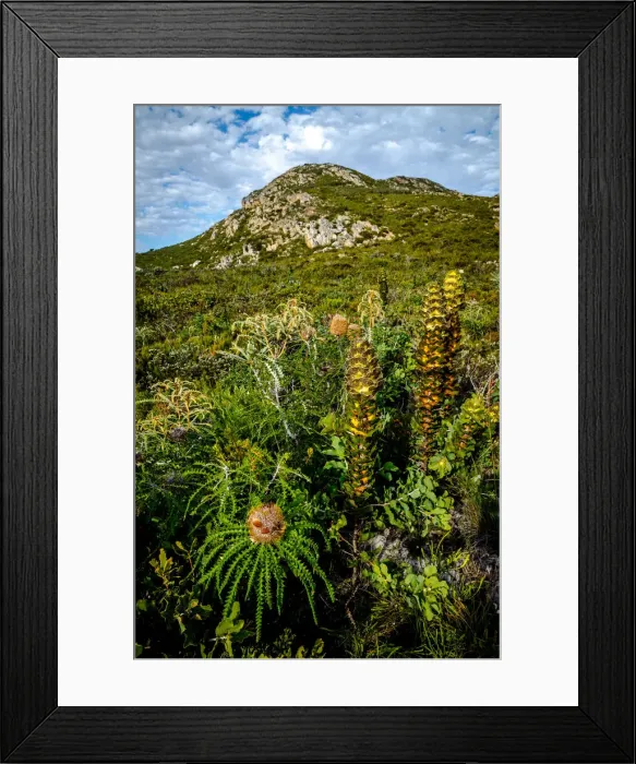 Framed Print : Sepulcralis Hill Framed Print : Sepulcralis Hill