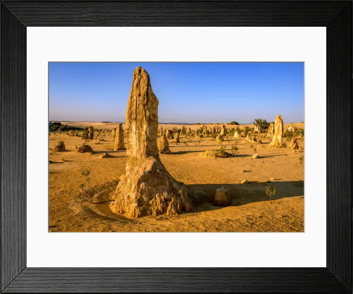 Framed Print : Pinnacle Desert Framed Print : Pinnacle Desert