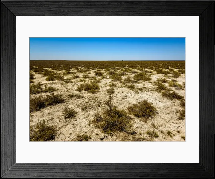 Framed Print : Great Sandy Desert Framed Print : Great Sandy Desert